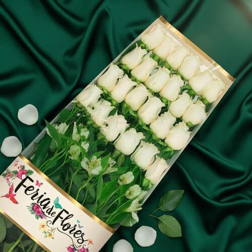 Box of 24 White Roses