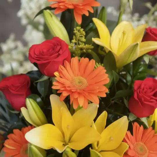 Primer plano extremo de Arreglo Floral con Frutas Quitana, mostrando rosas rojas, lirios amarillos y gerberas naranjas con go