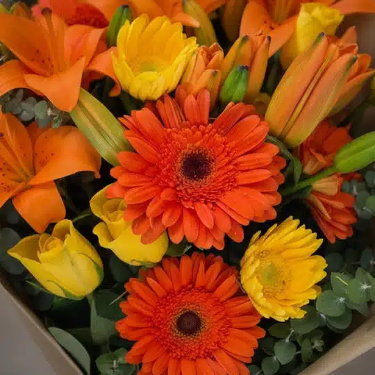Primer plano extremo de un bouquet floral LIRICA con lirios naranjas vibrantes, rosas amarillas frescas y gerberas naranjas,