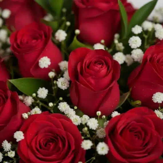 Primer plano extremo de un bouquet de rosas rojas frescas con pequeñas flores blancas y sutiles gotas de rocío, destacando la