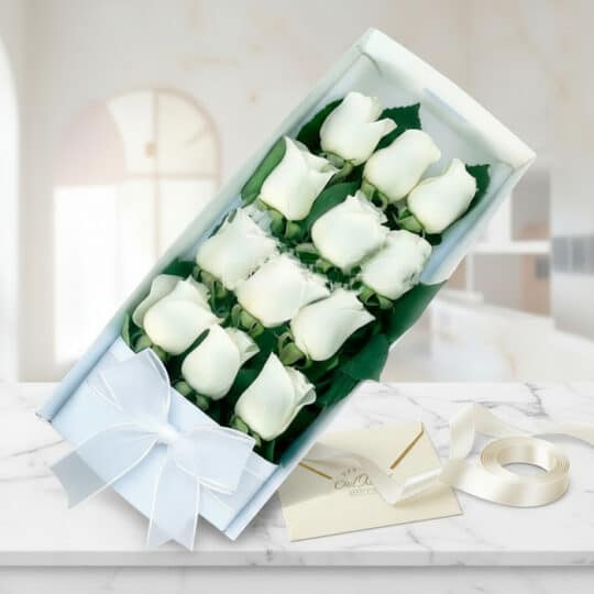 Caja de 12 rosas blancas frescas en empaque premium con cinta de satén y tarjeta de regalo sobre mármol, lista para entregar.
