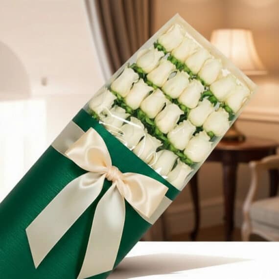 Caja de 24 Rosas Blancas: Elegancia y Frescura para Regalar Caja de 24 rosas blancas frescas y elegantes, envueltas en papel verde oscuro con un moño de satén color crema, sobre un fond