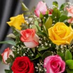 Primer plano extremo de un jarrón con 12 rosas multicolor, mostrando texturas hiperrealistas, gotas de rocío sutiles y colore