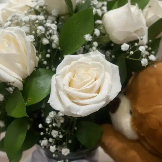 Primer plano extremo de un arreglo floral 'Jarrón Llévame Contigo' con rosas blancas, gotas de rocío sutiles y follaje verde,