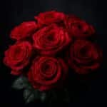 Rosas - Floristería en Bogotá - Domicilios de Flores