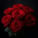 Rosas - Floristería en Bogotá - Domicilios de Flores