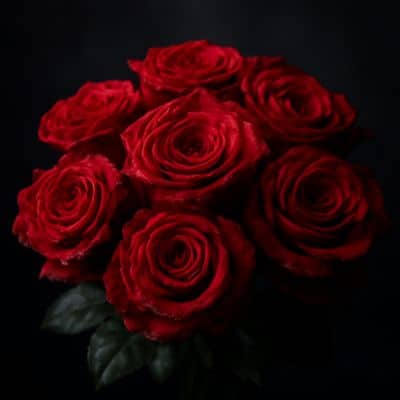 Rosas - Floristería en Bogotá - Domicilios de Flores