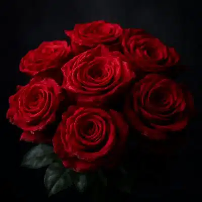 Rosas - Floristería en Bogotá - Domicilios de Flores
